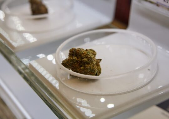 Peut-on consommer de la résine de CBD lors d’une soirée alcoolisée ?